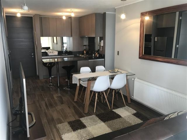 Departamento en Arriendo en Metro Villa Frei