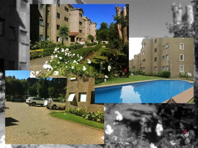Departamento en arriendo en salvador vergara, viña del mar