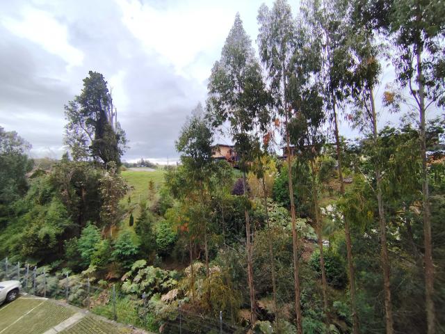 Departamento en Arriendo en Puerto Varas 2 dormitorios 2 baños