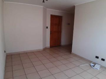 Departamento en Arriendo en Viña del Mar 1 dormitorio 1 baño