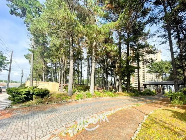 Departamento en Avenida Costanera | 2 dormitorios por 2500.00 en San Pedro de la Paz