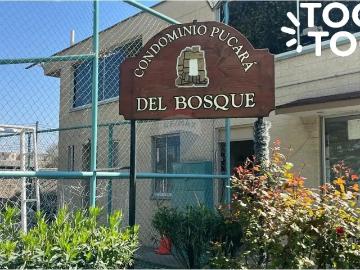 El Bosque, Provincia de Santiago, Región Metropolitana de Santiago