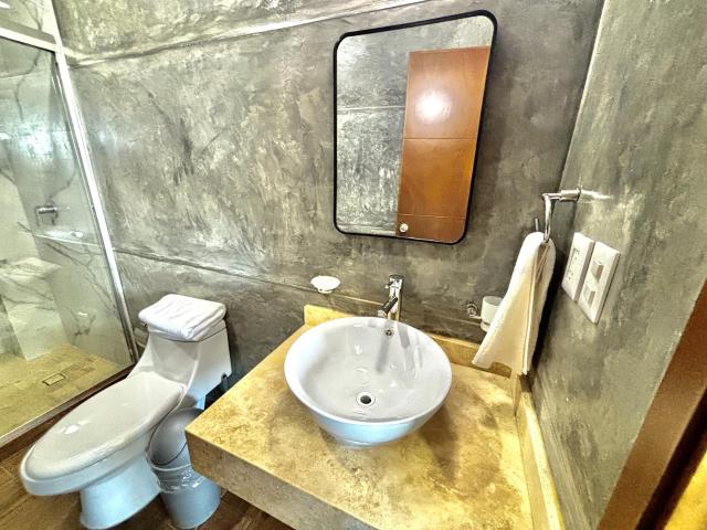 Departamento en Olimpo Infonavit