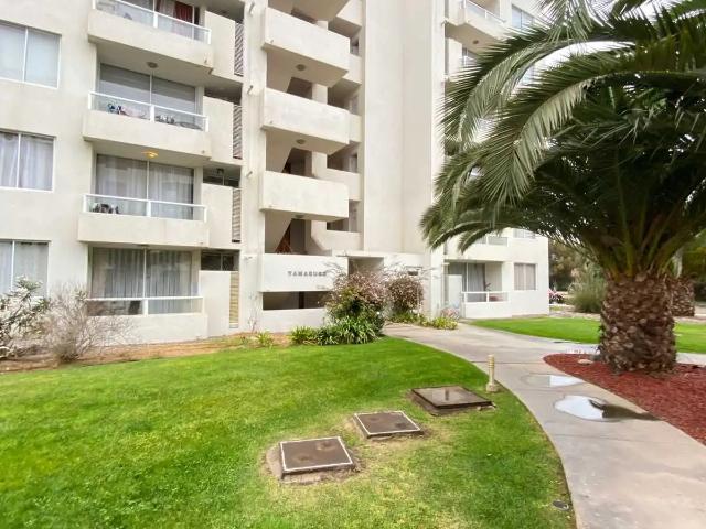 Departamento en La Serena