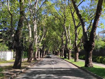 San Damián, Provincia de Santiago, Región Metropolitana de Santiago