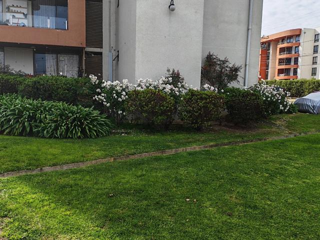 Departamento en Limache