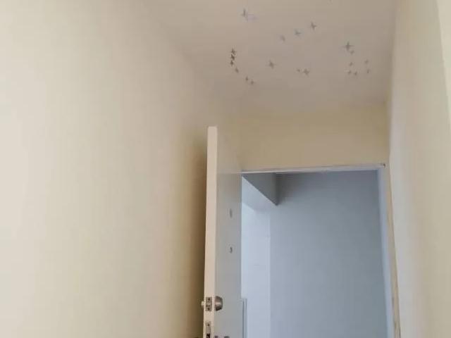 DEPARTAMENTO EN LINCE