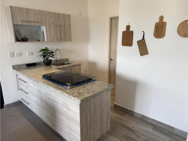 Departamento en San Miguel de Allende