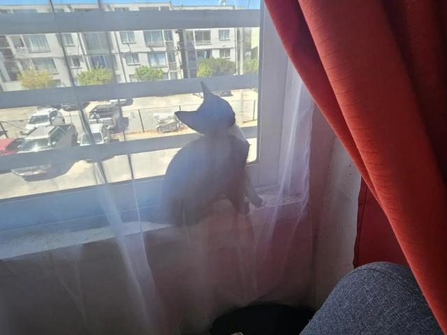 Departamento en San Bernardo
