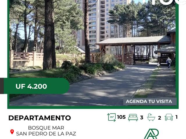 Departamento en San Pedro de la Paz