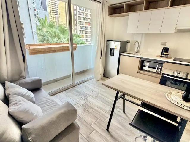 Departamento en Santiago