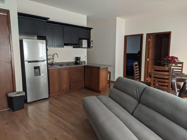 Departamento en Playa Sur