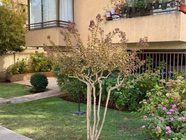 Departamento en Providencia