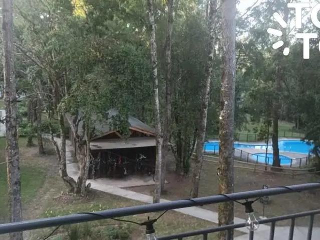 Departamento en Pucón
