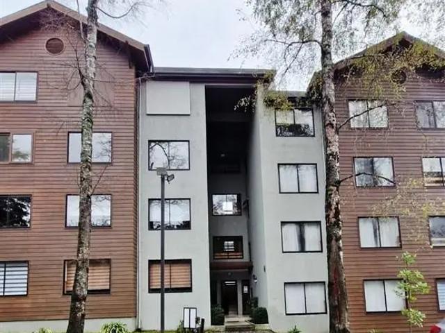 Departamento en Pucón