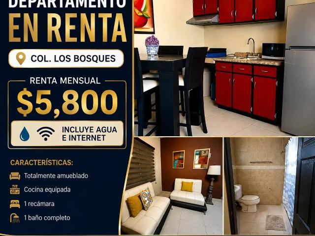 DEPARTAMENTO EN RENTA