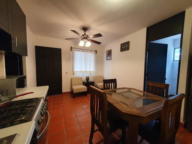 DEPARTAMENTO EN RENTA