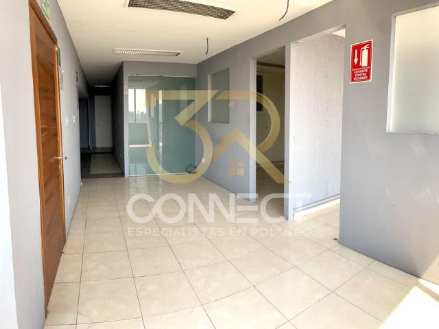 Departamento en renta Colonia Anzures, Miguel Hidalgo, Cdmx