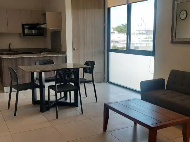 Departamento amueblado en Renta en Benito Juarez Norte