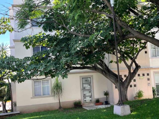 Departamento en renta Calle Cordillera, Tlaltenango, Cuernavaca, Morelos, 62157, México