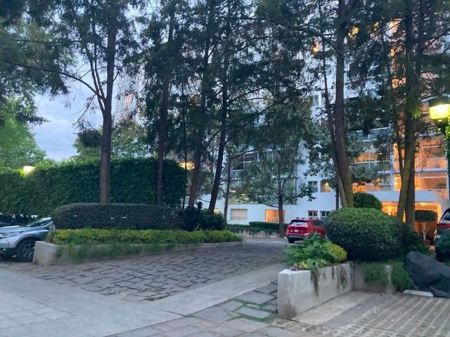 Departamento en renta Calle Cruz Verde, Colonia Real De Los Reyes, Los Reyes Hueytilac, Ciudad De México, Coyoacán, Ciudad De México, 04330, México