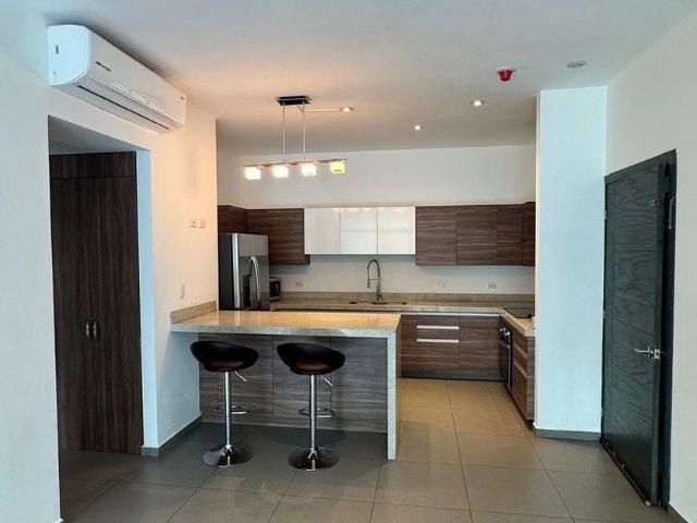 Departamento en renta Calle Borbón, Dinastia, Monterrey, Nuevo León, 64610, México