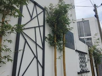 Departamento en renta Calle Emiliano Zapata 9 21, De La Trinidad, San Cristóbal Huichochitlán, Toluca, México, 50200, Mex