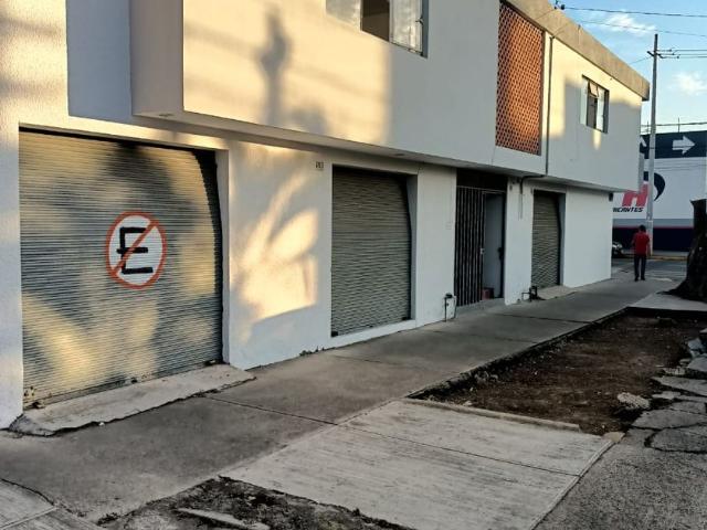 Departamento en renta Calle Esteban Alatorre 1651, San Juan Bosco, 44730 Guadalajara, Jalisco, México