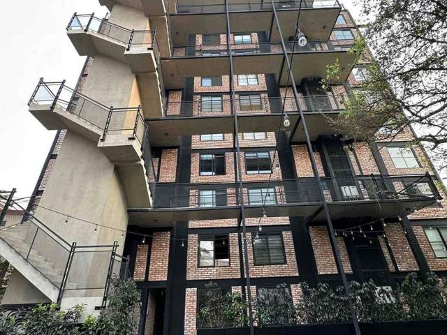 Departamento en renta Calle Francisco I. Madero, Miraval, Cuernavaca, Morelos, México