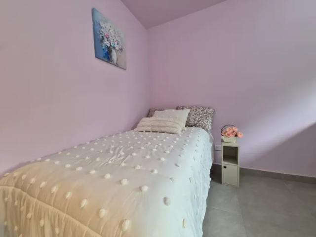 Departamento en renta Calle Fray Juan González, Roble Norte, San Nicolás De Los Garza, Nuevo León, 66422, México