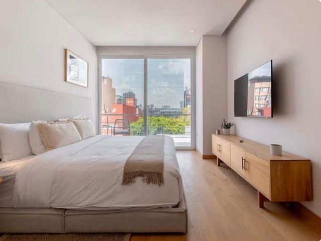 Departamento en renta Calle Hamburgo, Juárez, Roma, Ciudad De México, Cuauhtémoc, Ciudad De México, 06600, México