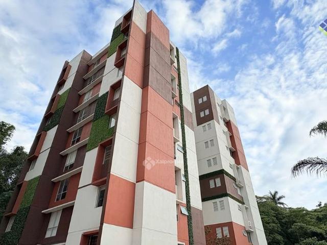 Departamento en renta Calle Mallorca, Emiliano Zapata, Veracruz De Ignacio De La Llave, 91643, Mex