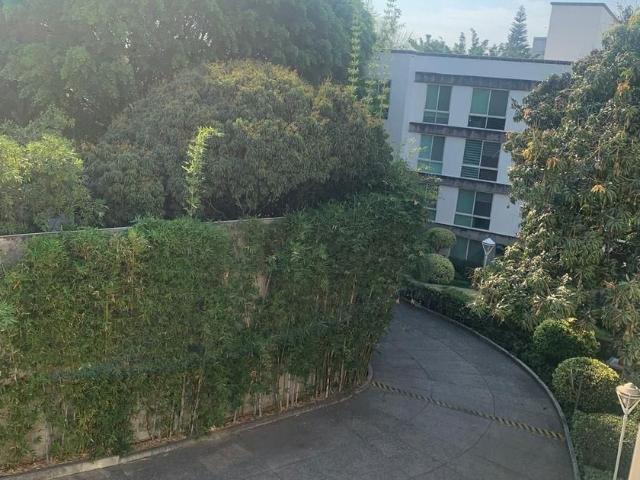 Departamento en renta Calle Netzahualcóyotl, Centro, Cuernavaca, Morelos, 62000, Mex