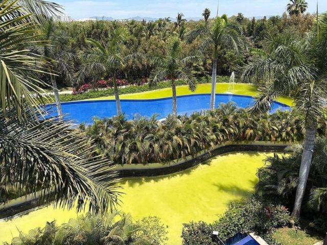 Departamento en renta Calle Paseo De Las Garzas, Nuevo Nayarit, Bahía De Banderas, Nayarit, 63735, México