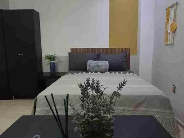 Departamento en renta Calle Vivero, Estatuto Jurídico, Boca Del Río, Veracruz, 94249, México