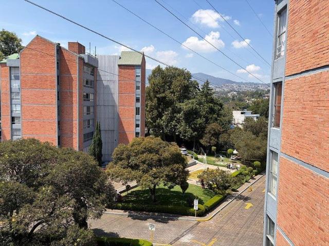 Departamento en renta Camino A Santa Teresa, Colonia Residencial Santa Teresa, Ciudad De México, La Magdalena Contreras, Ciudad De México, 10710, México