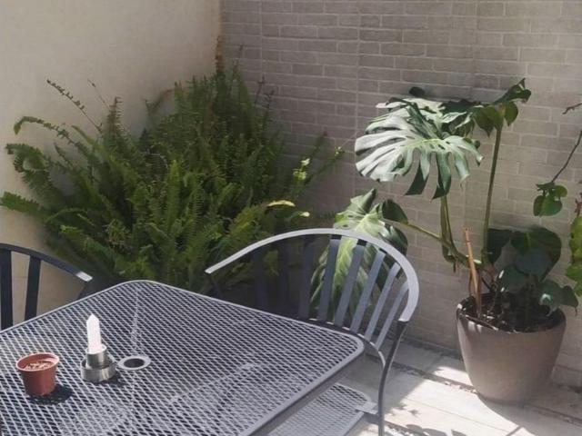 Departamento en renta Casa Nogal, Primera Cerrada De La Nogal, Santa María La Ribera, Del. Cuauhtémoc, Ciudad De México, Cdmx, México