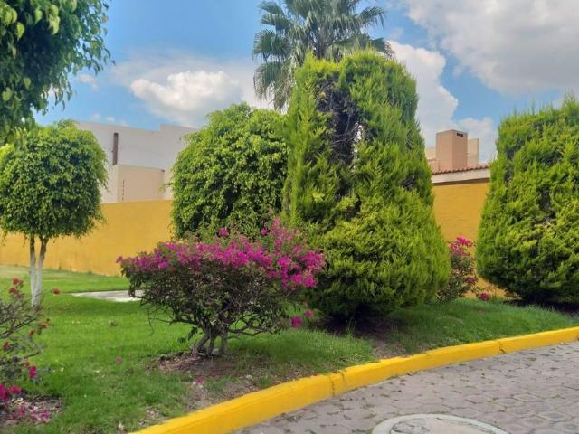 Departamento en renta Cda. De Las Quintas, Santiago Momoxpan, Las Quintas, San Pedro Cholula, Puebla, México