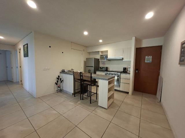 DEPARTAMENTO EN RENTA EN MARAVILIA