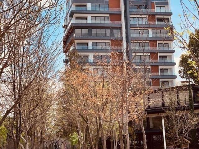 Departamento en renta Cerrada De La Prolongación C 17, Las Ánimas, Puebla, Municipio De Puebla, Puebla, 72197, México