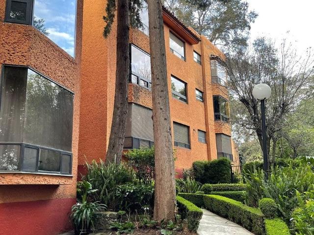 Departamento en renta Cerrada De Los Cedros, Alcantarilla, Ciudad De México, Álvaro Obregón, Ciudad De México, 01729, México