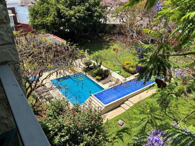 Departamento en renta Chapultepec, Cuernavaca, Cuernavaca, Morelos
