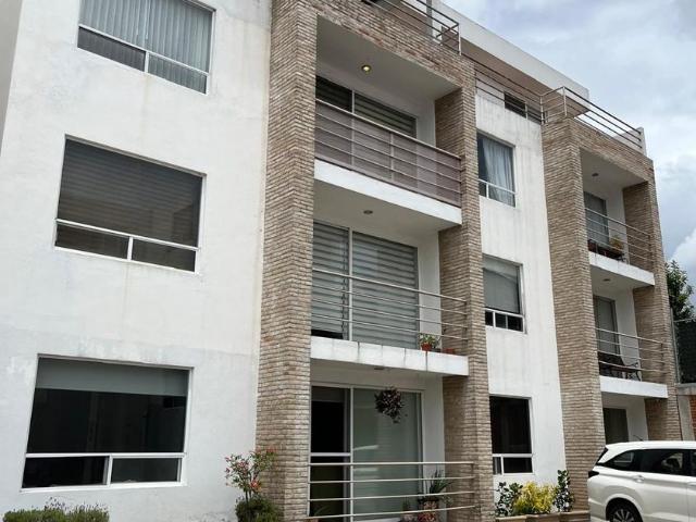 Departamento en renta Cholula De Rivadabia Centro, San Pedro Cholula