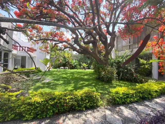Departamento en renta Cuernavaca Centro, Cuernavaca, Morelos