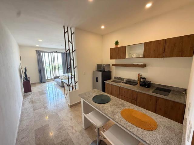 DEPARTAMENTO EN RENTA A PASOS DE LA 5TA AVENIDA Y PLAYA 11,900