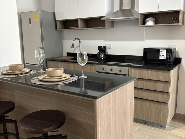 DEPARTAMENTO EN RENTA AMUEBLADO EN COLONIA MIRADOR