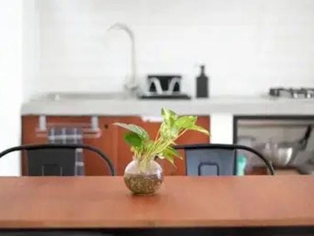 Departamento En Renta| Amueblado| Incluye Todos Los Servicios | Centro | $11,000