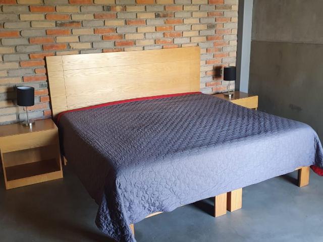 Departamento en renta amueblado, Lomas del Tec, San Luis Potosi