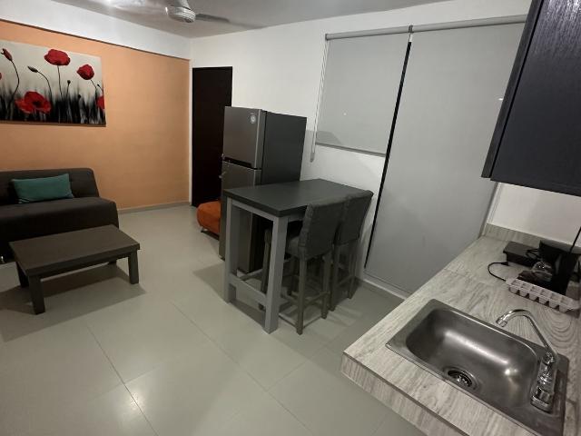 DEPARTAMENTO EN RENTA AMUEBLADO