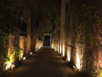 Departamento en renta Abarrotes La Guadalupana, Calle 16 De Septiembre, Fracc Jardines De Acapatzingo, Cuernavaca, Morelos, 62447, Mex